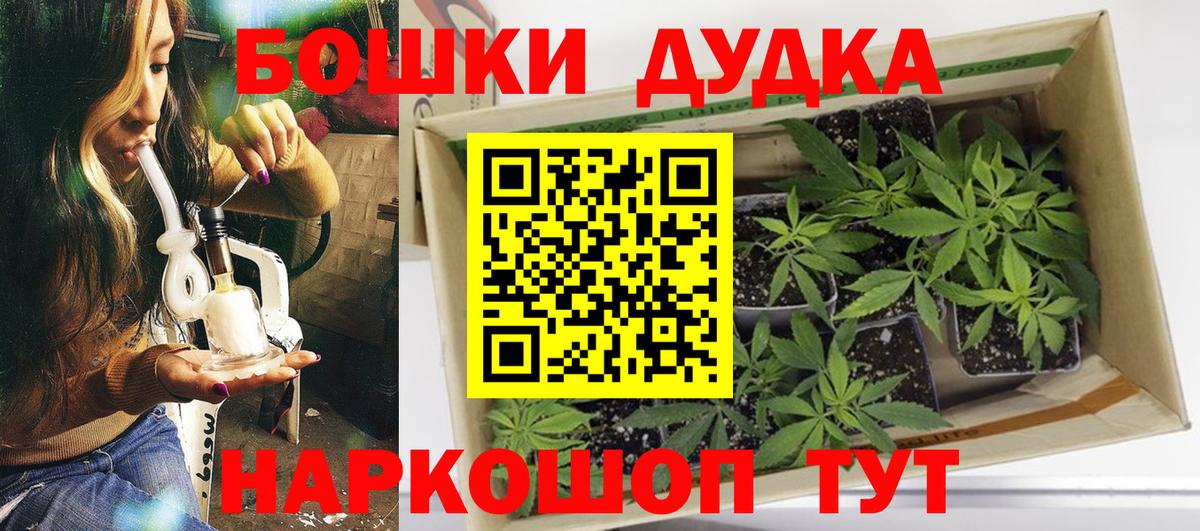 Бошки Шишки Bruce Banner  Каннабис Ganja  Прохладный  Бошки Шишки план  Вход с VPN 